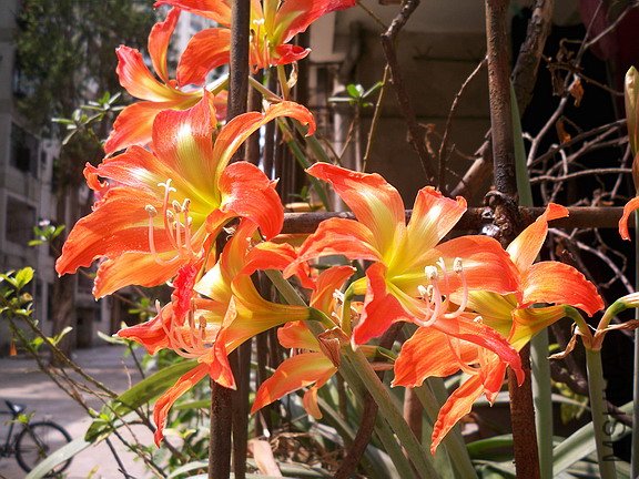 ��Ƭ 060(576).jpg