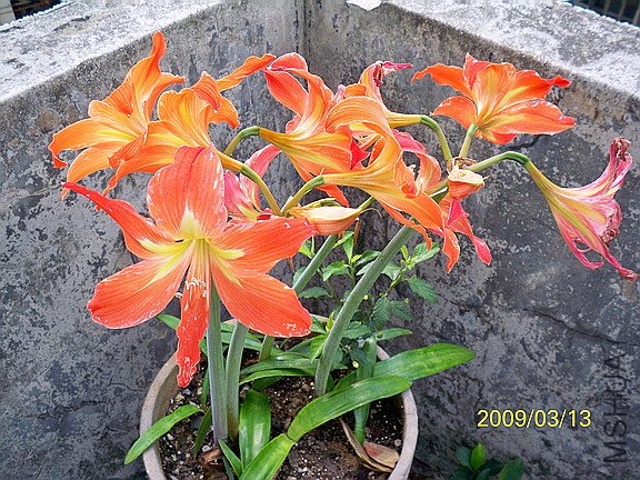 ��Ƭ 2246(576).jpg