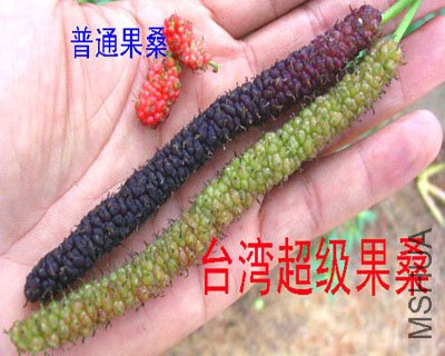 201032114137_e1973460.jpg