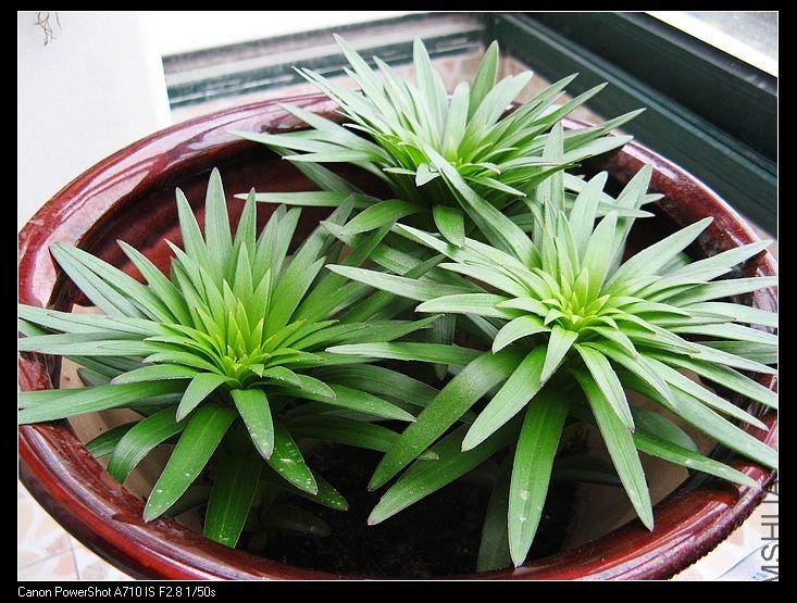 nEO_IMG_��Ƭ 075.jpg