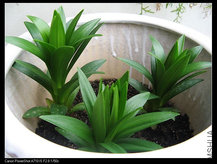 nEO_IMG_��Ƭ 076.jpg