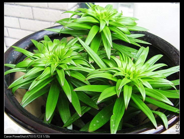 nEO_IMG_��Ƭ 077.jpg