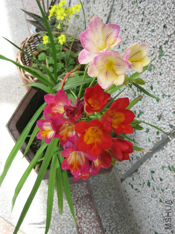 ��Ƭ2009 366.jpg