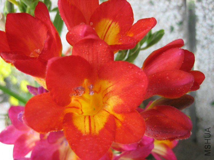 ��Ƭ2009 370.jpg