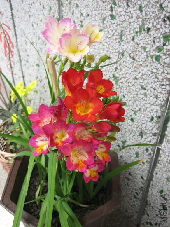��Ƭ2009 368.jpg