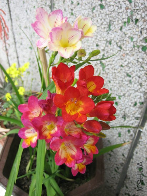 ��Ƭ2009 367.jpg