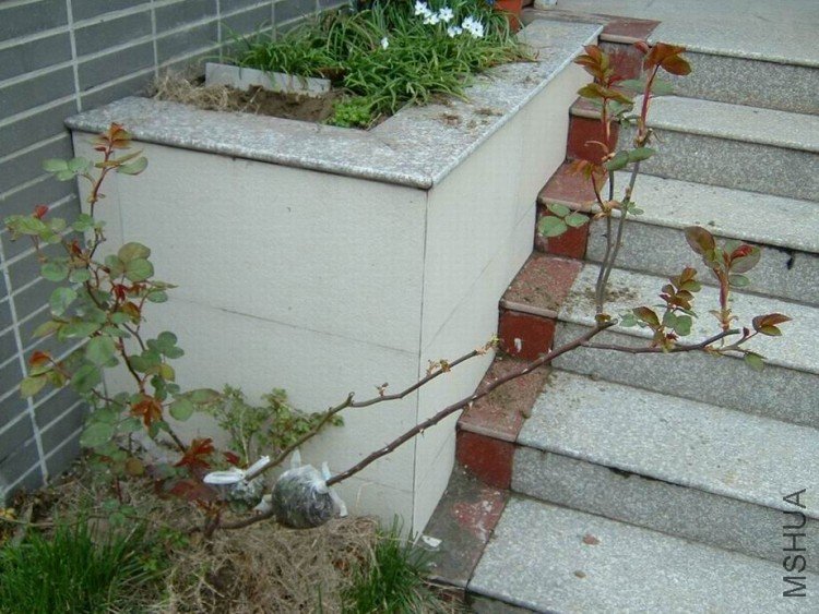 ������С ������С DSCF0022.JPG
