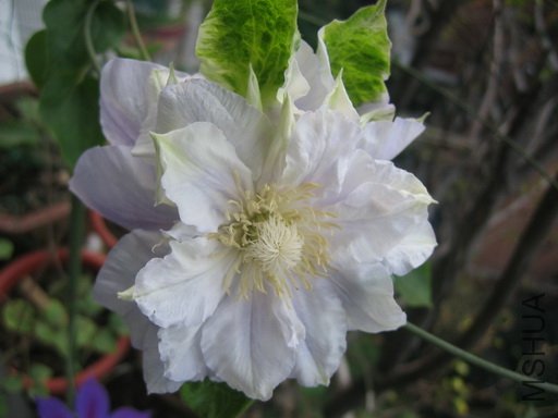 ���꿪��������