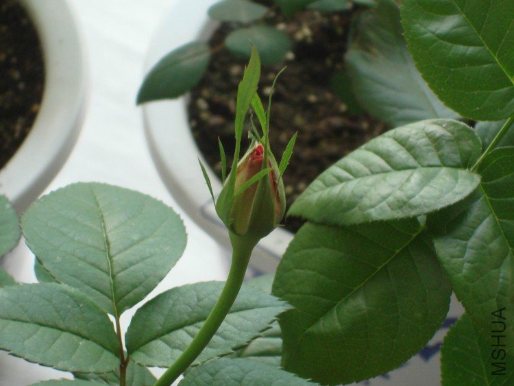 10��3��21�� 