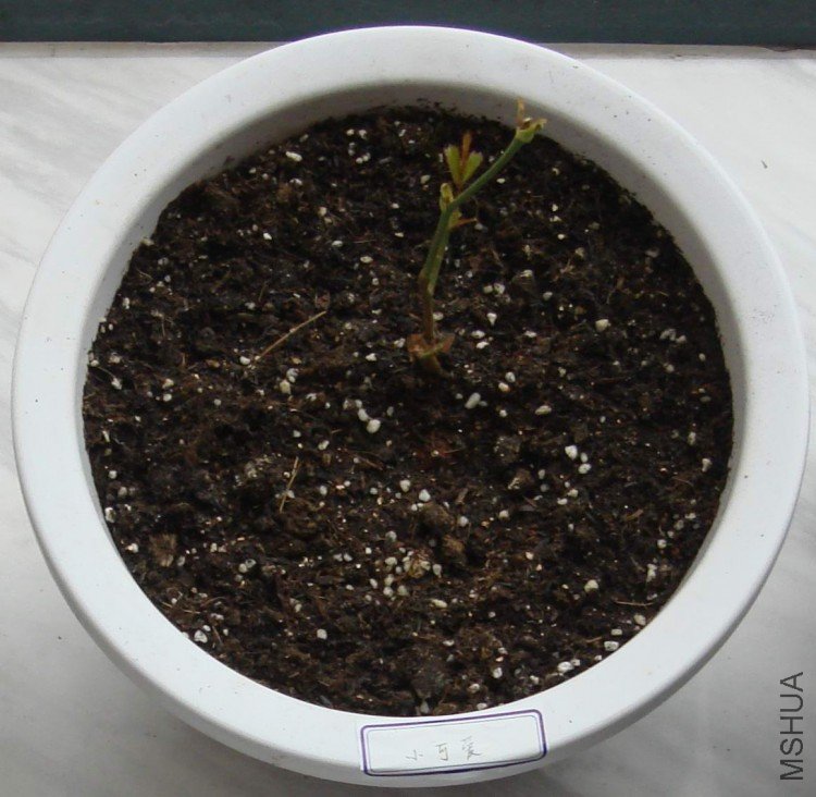 08 09��12��28��.jpg