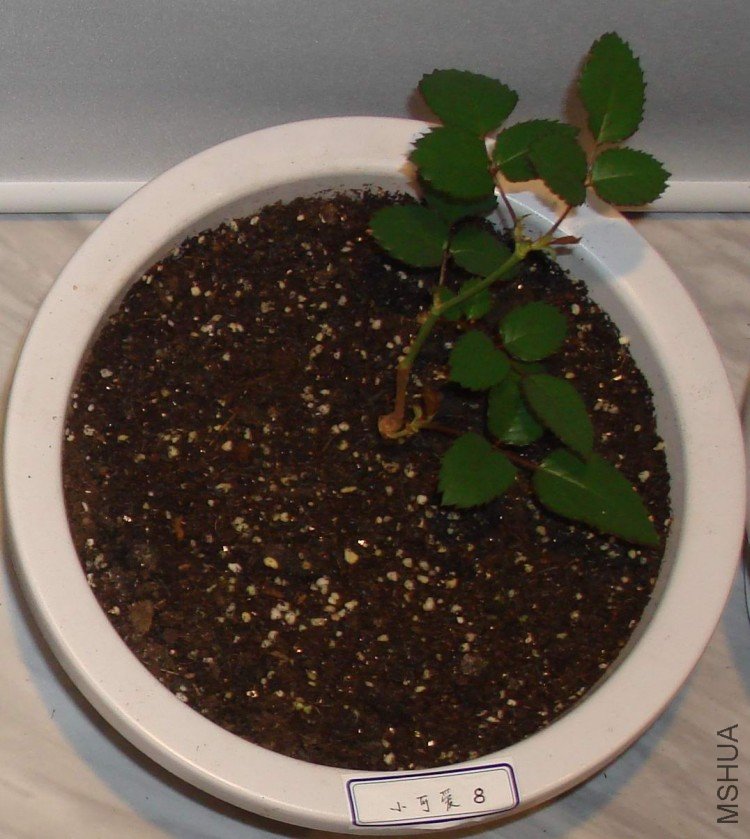 08 2010��01��13�� .jpg