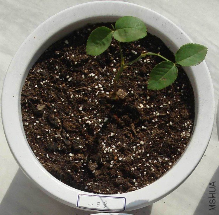 08 09��12��19�� .jpg