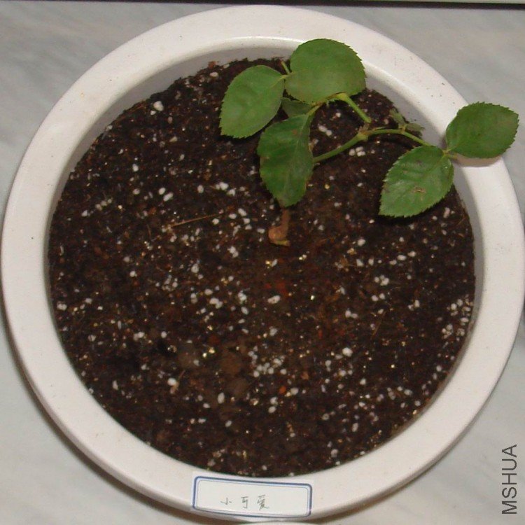 08 09��12��13�� .jpg