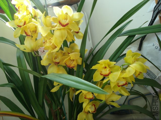 DSC04527.JPG