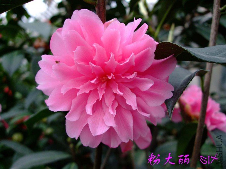 �۴��� 10-4-4(1).jpg