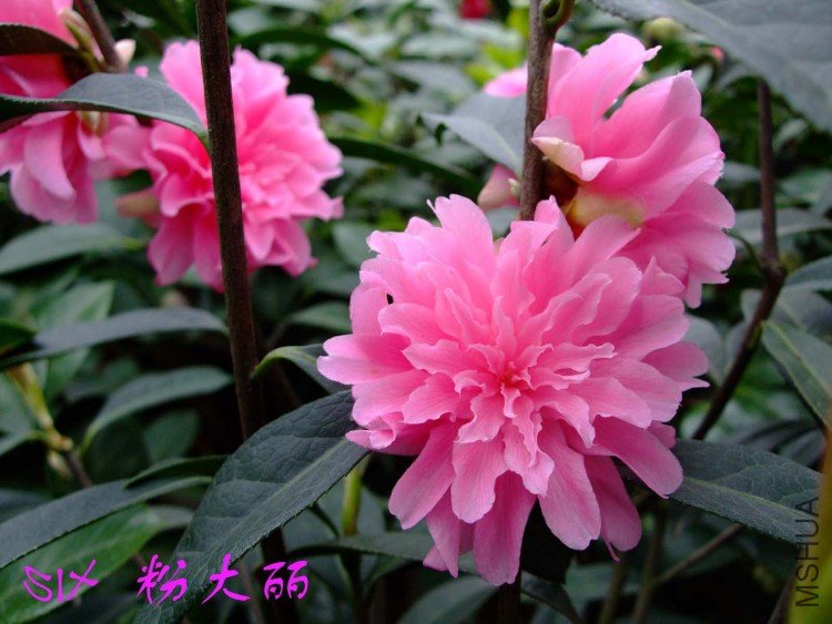 �۴��� 10-4-4 (2).jpg