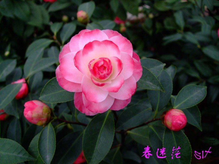 ����ã  10-4-4(2).jpg