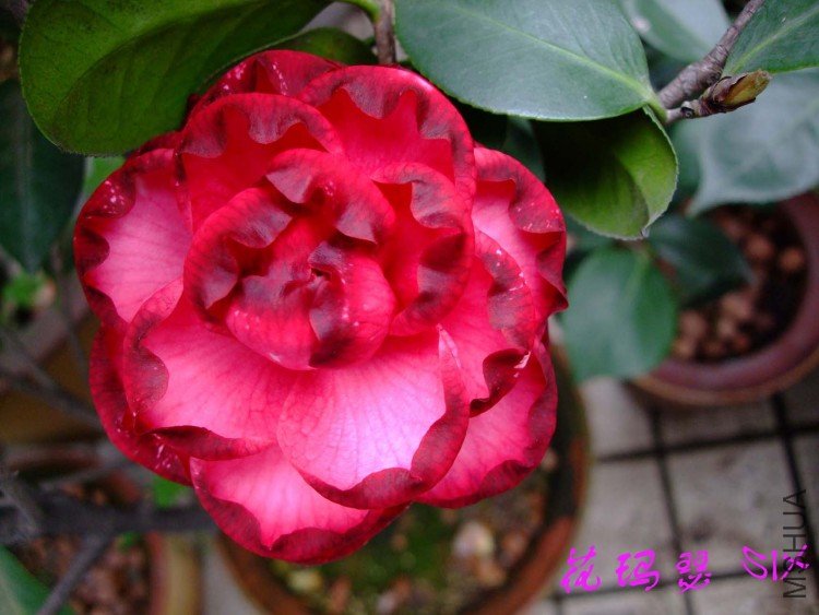 ����ɪ 10-4-4(1).jpg