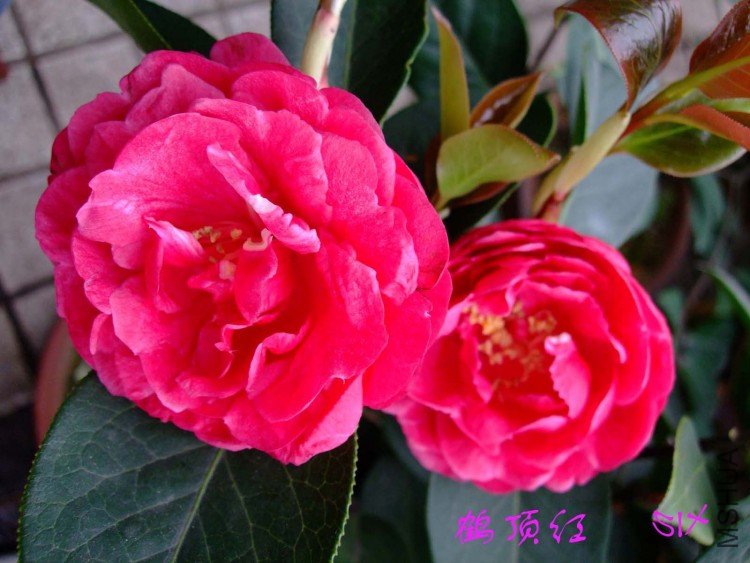 �׶��� 10-4-4(1).jpg