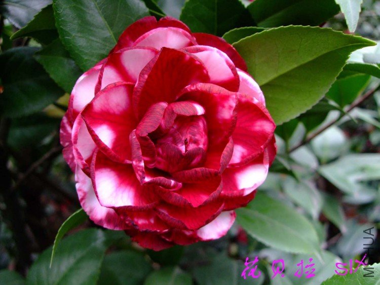 �� ����  10-4-4 (2).jpg