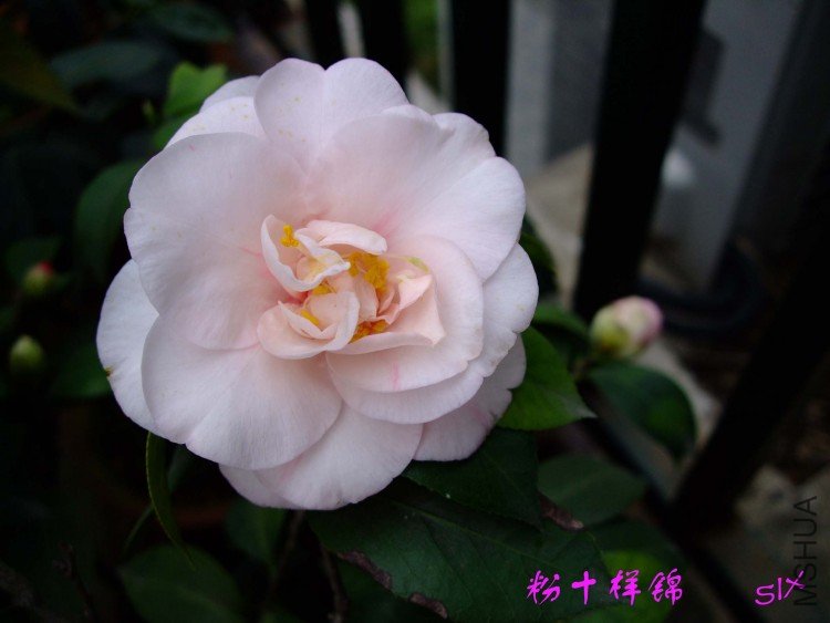 ��ʮ���� 10-4-4(1).jpg