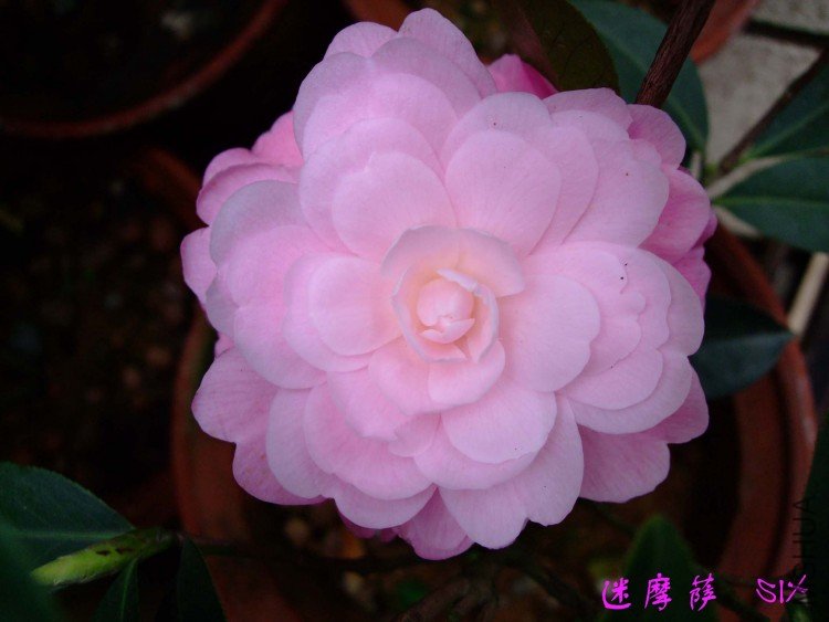 ��Ħ��   10-4-4(1).jpg