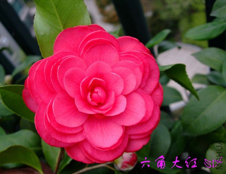 ���Ǵ��  10-4-4(1).jpg