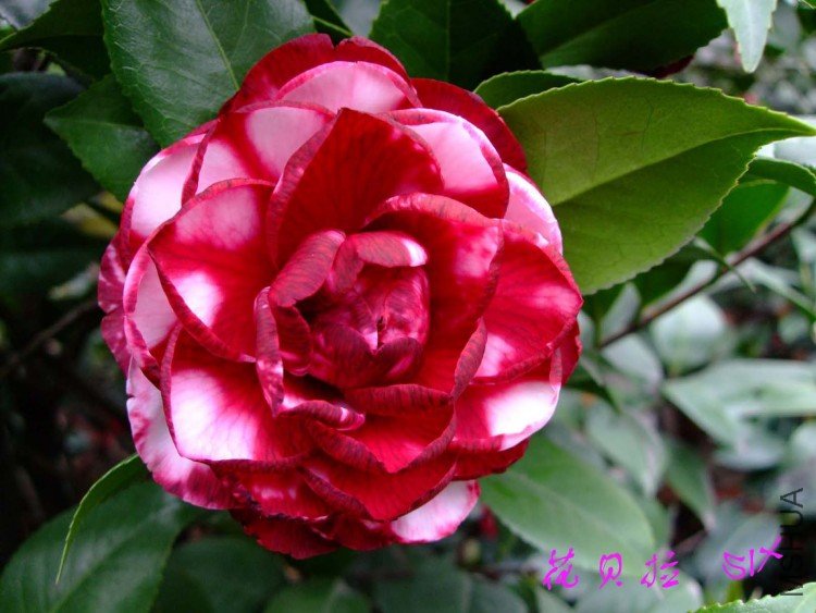 �� ����  10-4-4(1).jpg