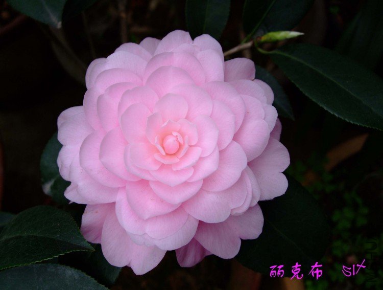 ���˲�  10-4-4(1).jpg