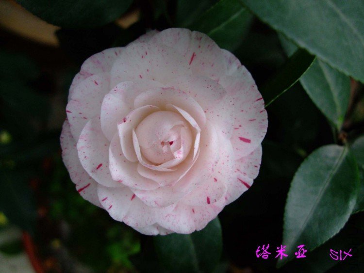 ������   10-4-4(1).jpg