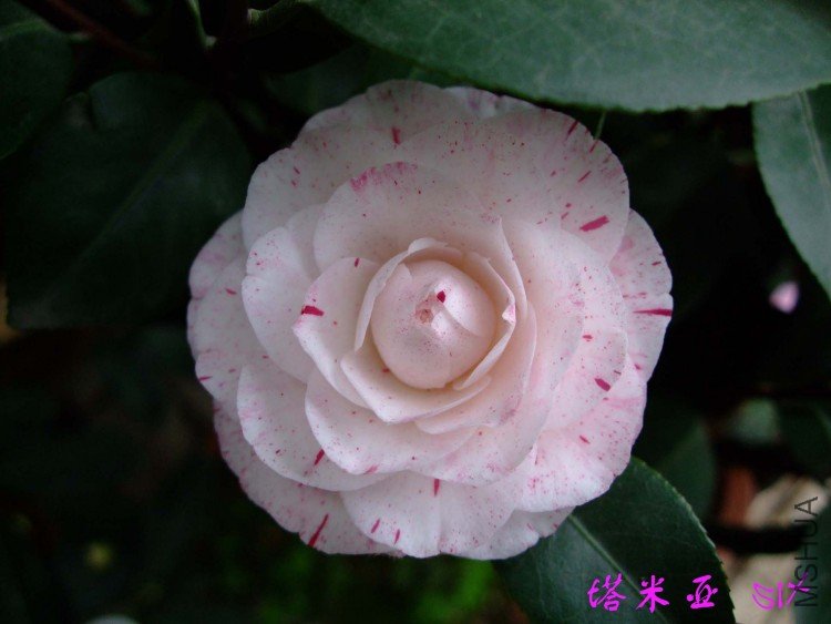 ������   10-4-4(2).jpg