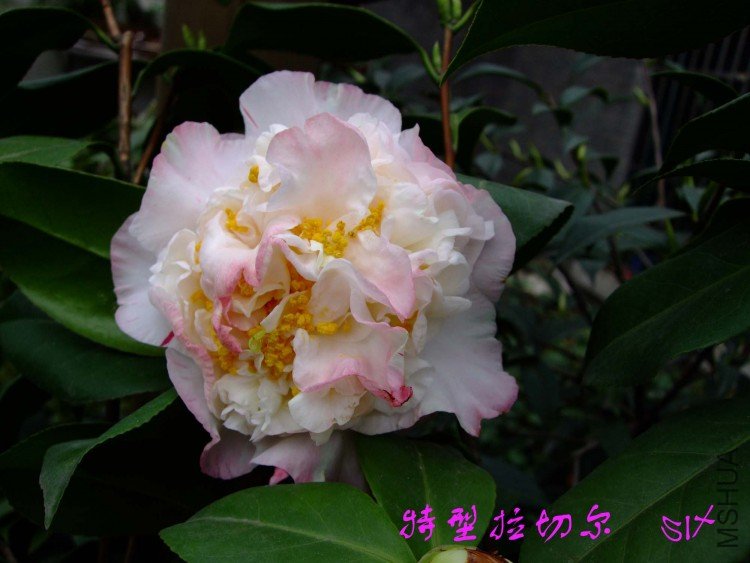 �������ж� 10-4-4(1).jpg