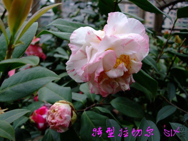 �������ж� 10-4-4 (2).jpg