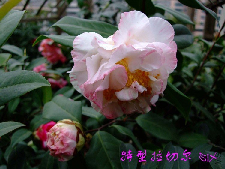 �������ж� 10-4-4 (4).jpg