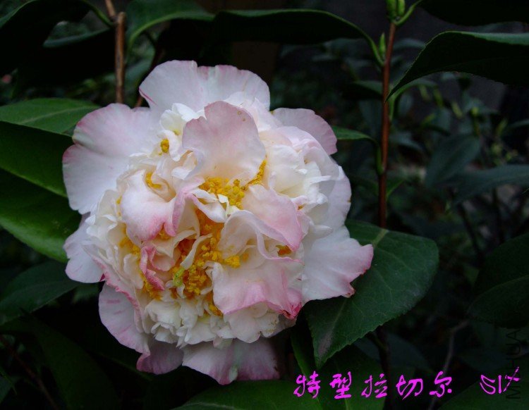 �������ж� 10-4-4 (5).jpg