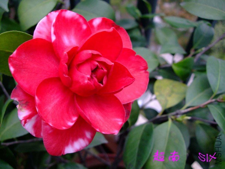 ����������ʿ  10-4-3(2).jpg