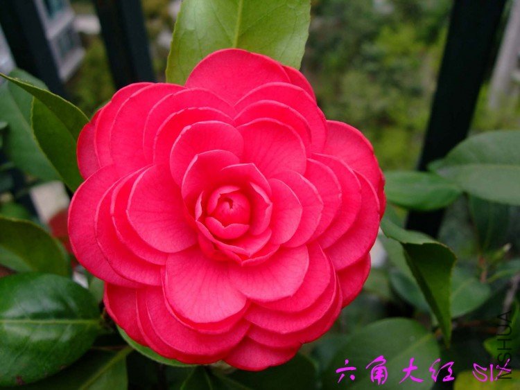 ���Ǵ�� 10-4-3 (2).jpg