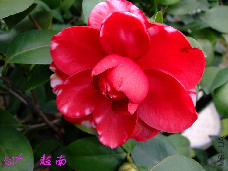 ����������ʿ  10-4-3(1).jpg