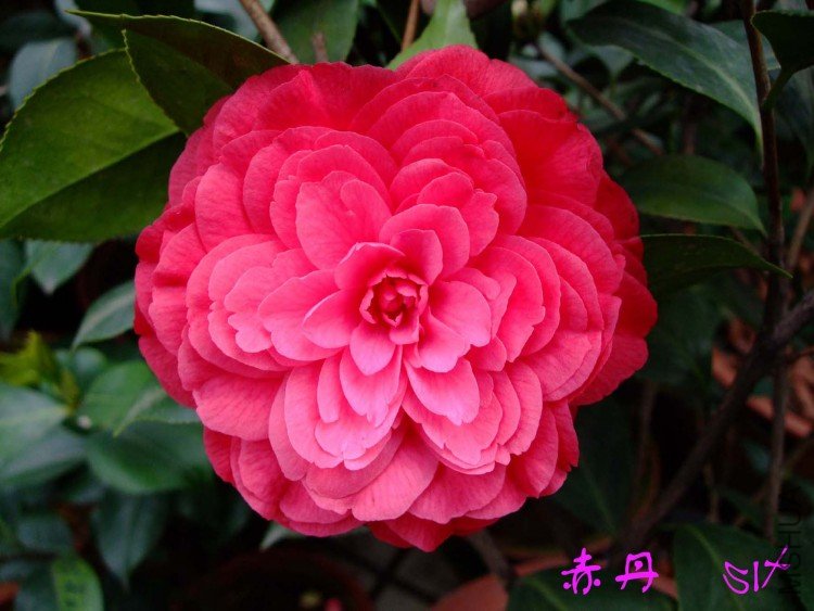 �൤ 10-4-3(1).jpg