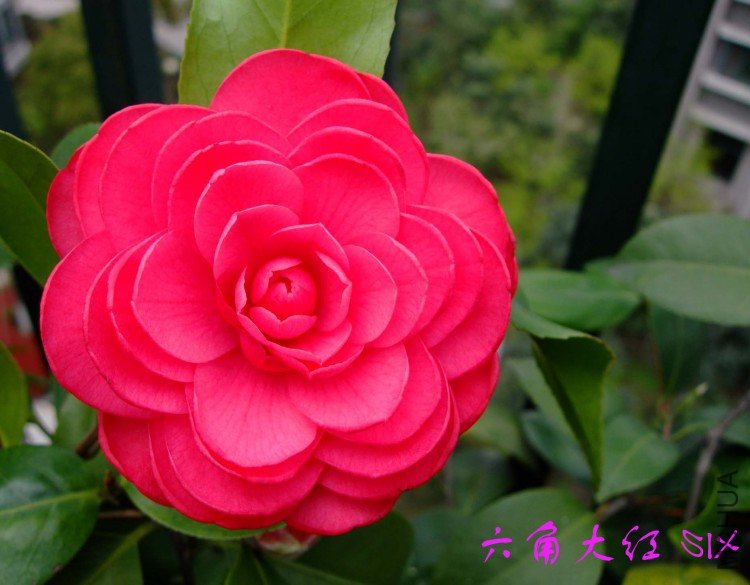 ���Ǵ�� 10-4-3(1).jpg