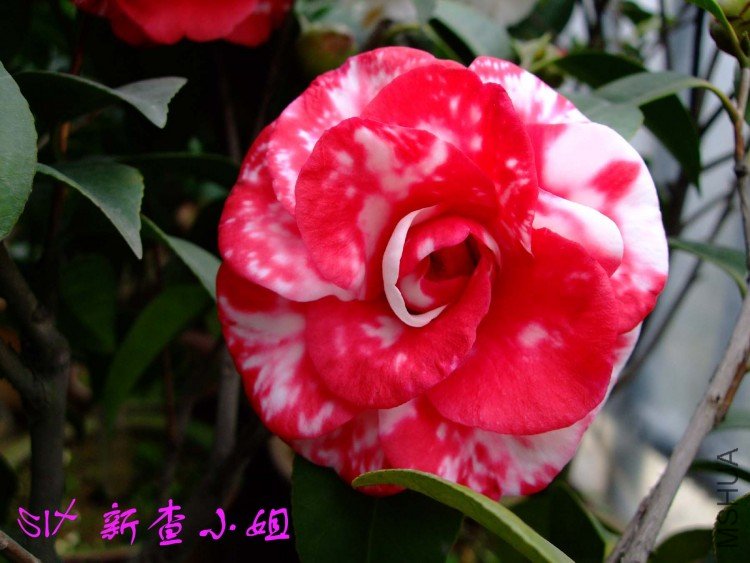 �²�  10-4-3(1).jpg