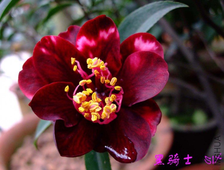 ����ʿ  10-4-2(1).jpg