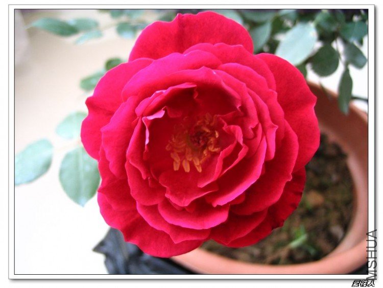 �һ����Եô�˵�еĹ��¡���ɫ���㡱 002.jpg