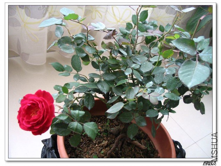 �һ����Եô�˵�еĹ��¡���ɫ���㡱 004.jpg
