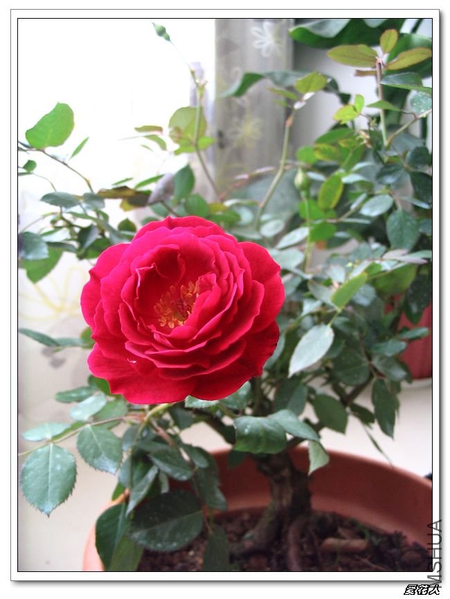 �һ����Եô�˵�еĹ��¡���ɫ���㡱 015.jpg