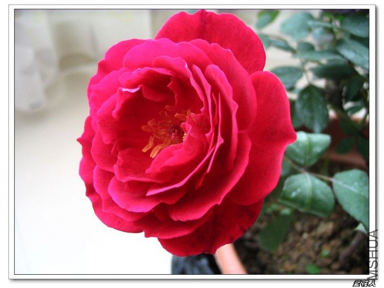 �һ����Եô�˵�еĹ��¡���ɫ���㡱 008.jpg