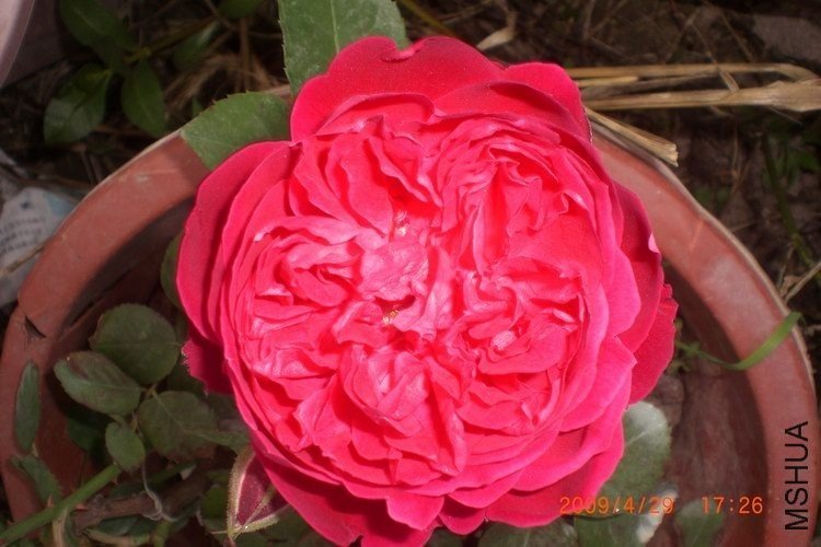 ��Ƭ 016.jpg