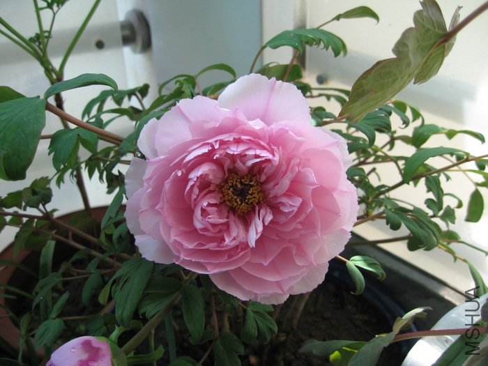 ĵ�� 009.jpg