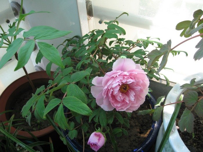 ĵ�� 011.jpg
