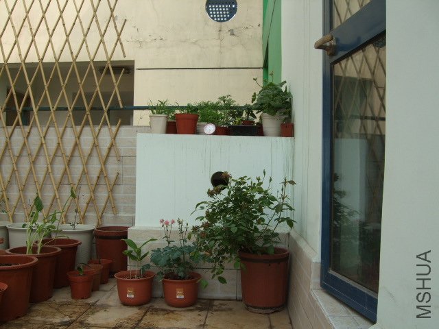DSCF3202.JPG